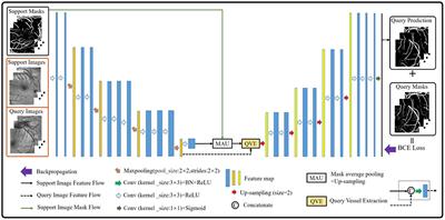 A Few-Shot Learning-Based Retinal Vessel Segmentation Method for Assisting in the Central Serous Chorioretinopathy Laser Surgery